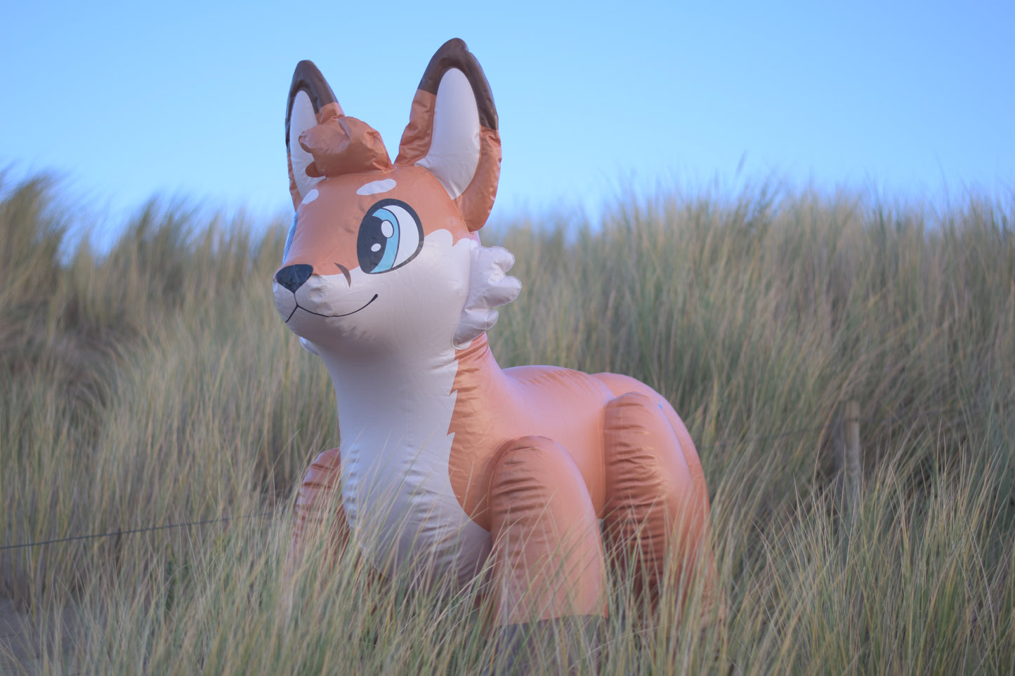 Jack the Fox