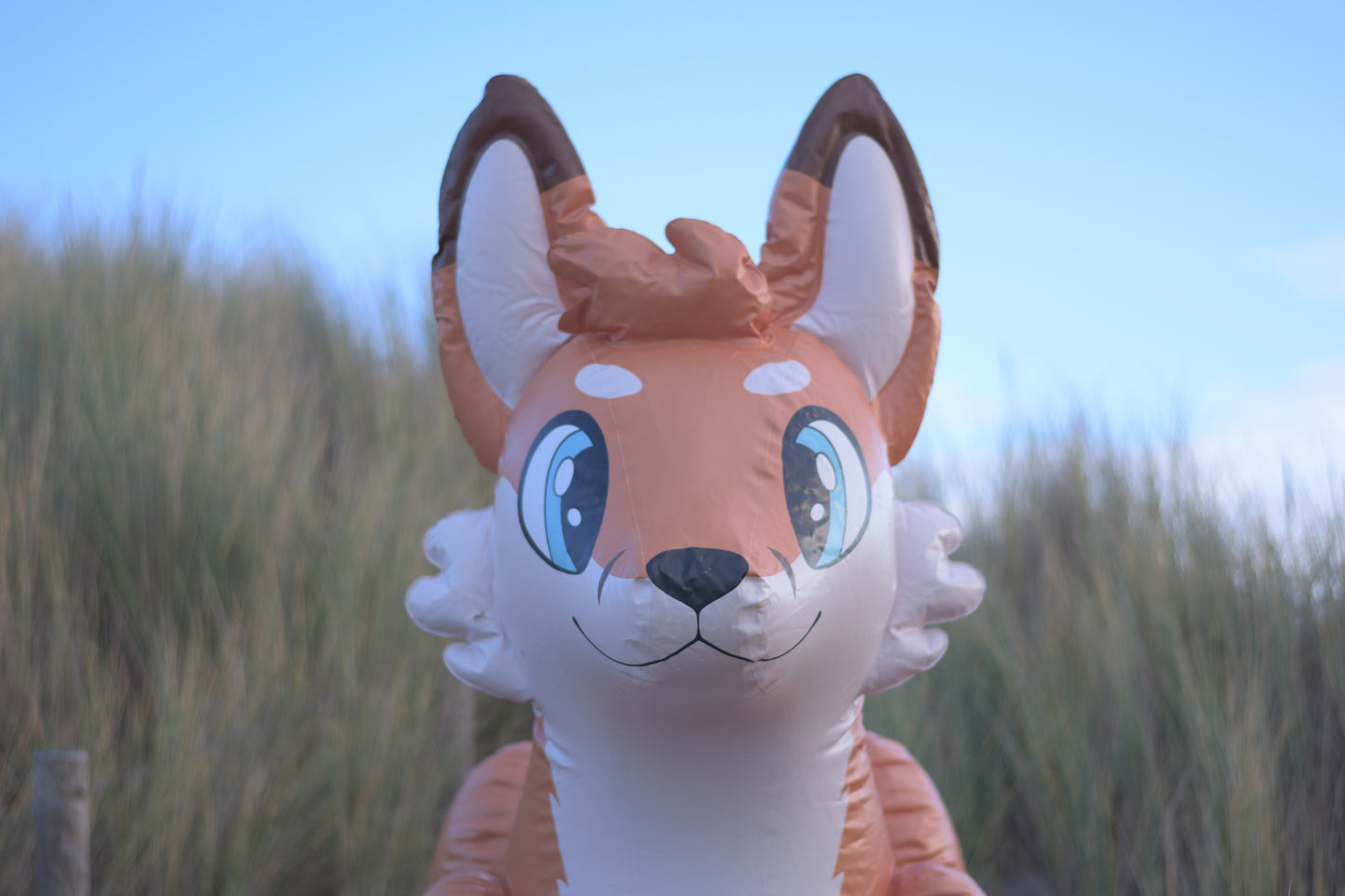Jack the Fox