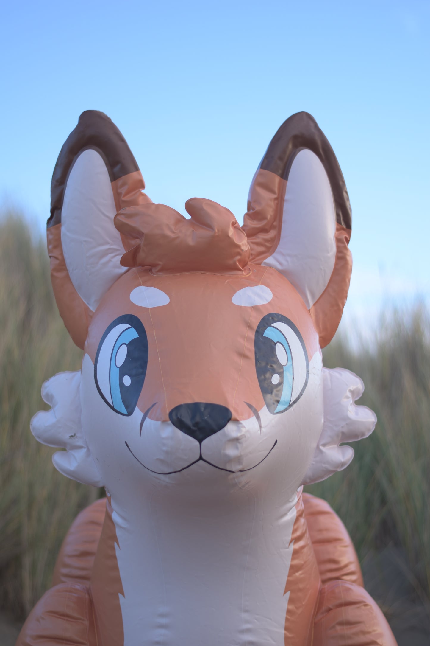 Jack the Fox