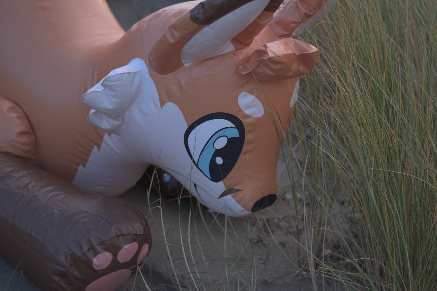 Jack the Fox