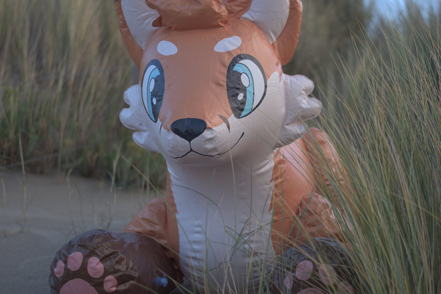 Jack the Fox