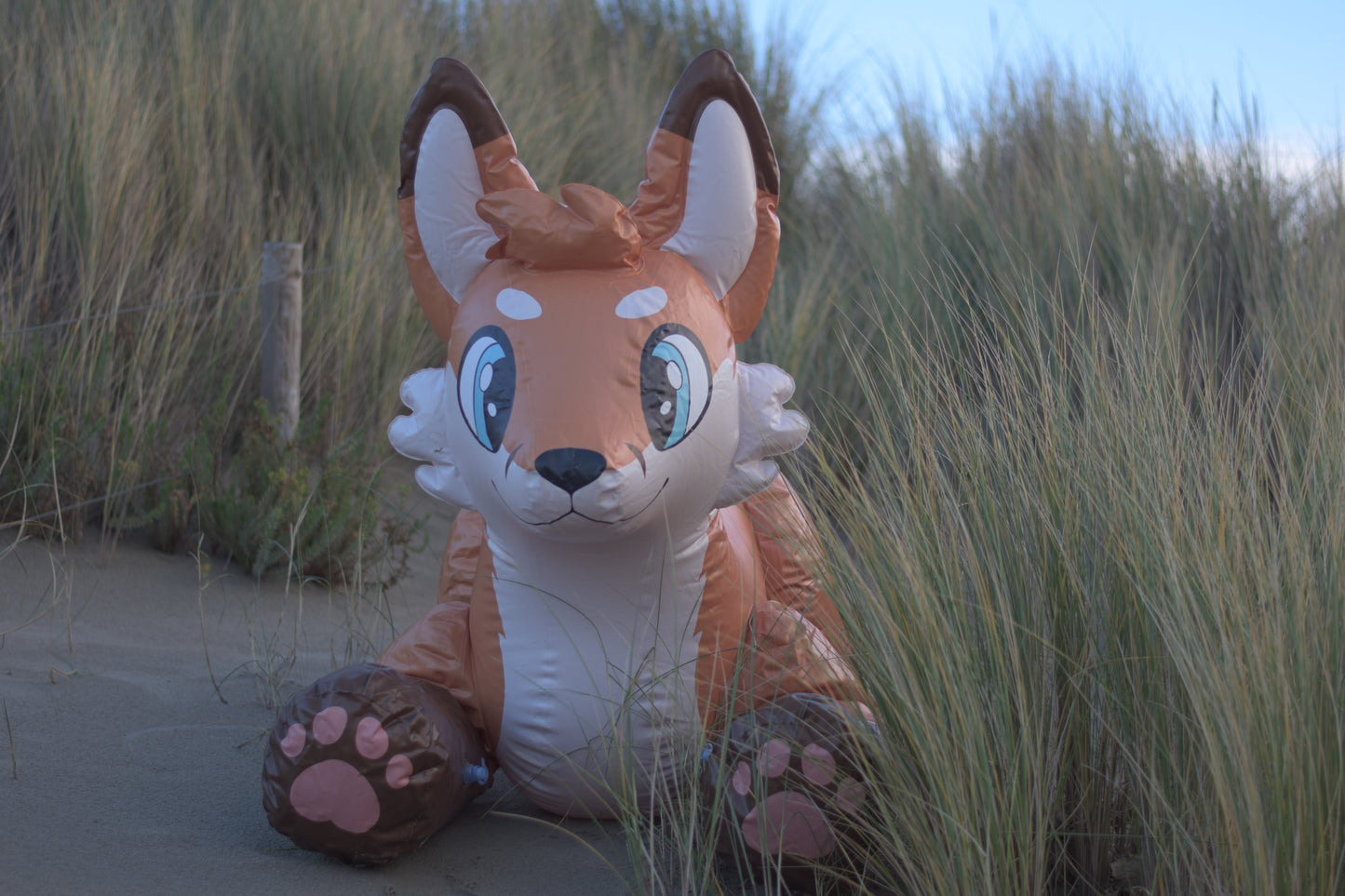 Jack the Fox
