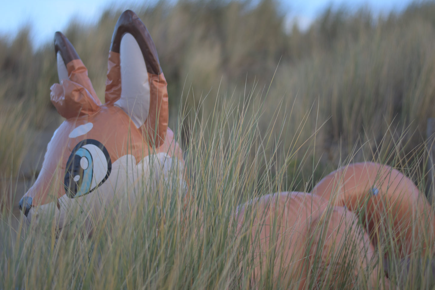 Jack the Fox