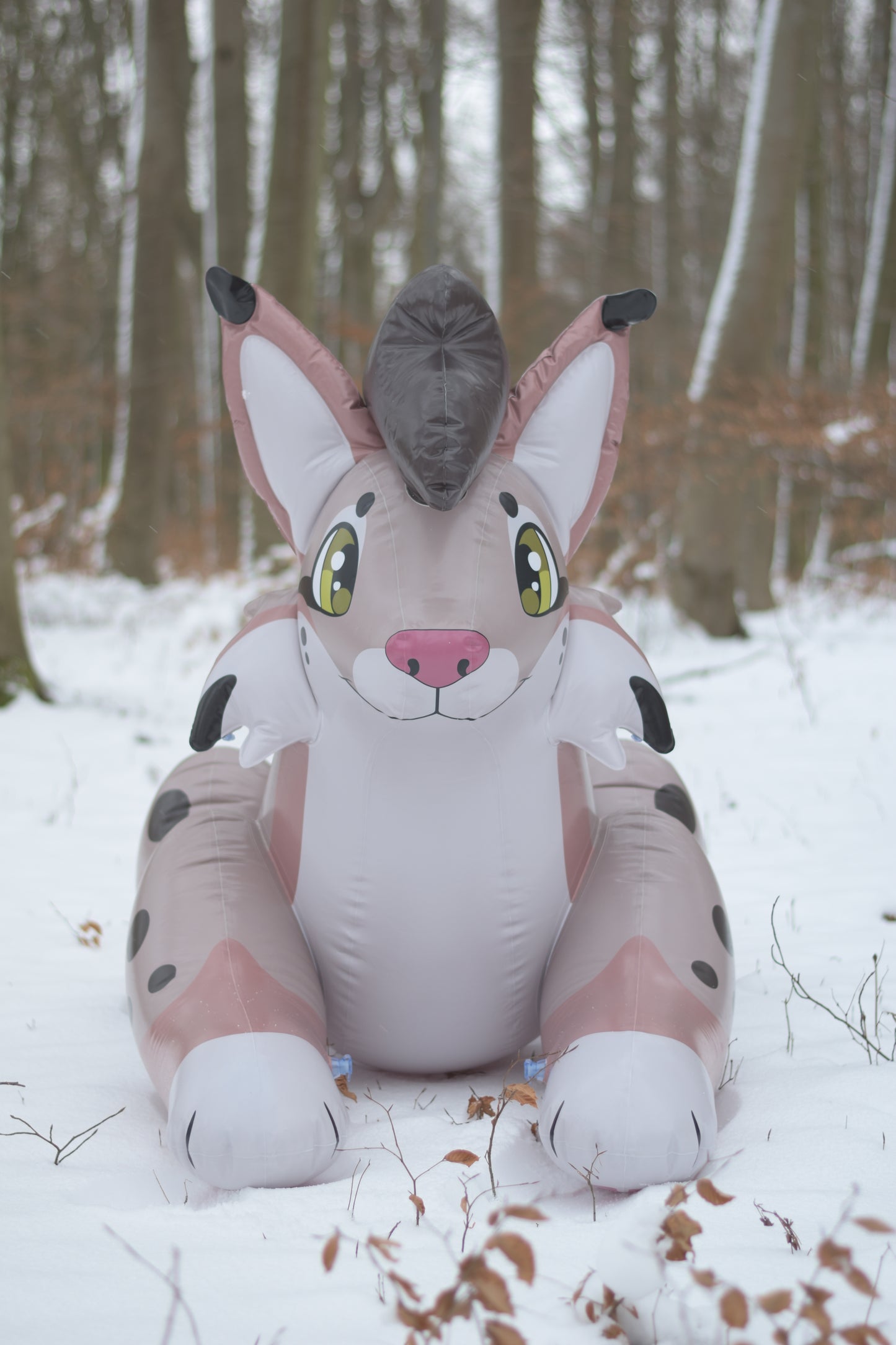Lyra the Lynx Pre-Order