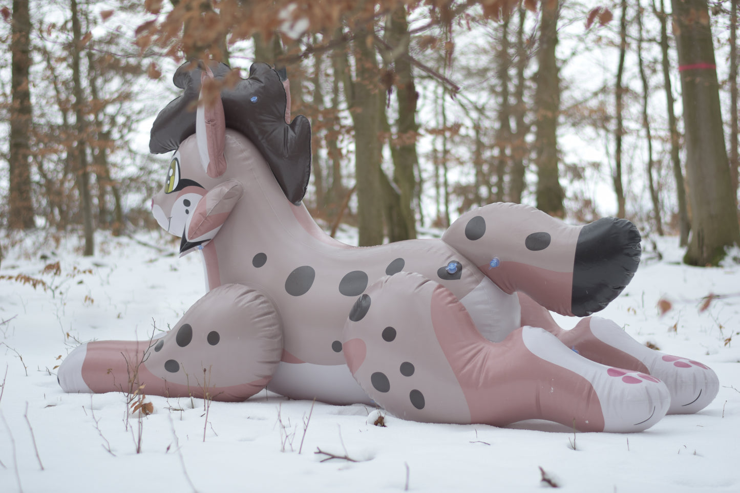 Lyra the Lynx Pre-Order