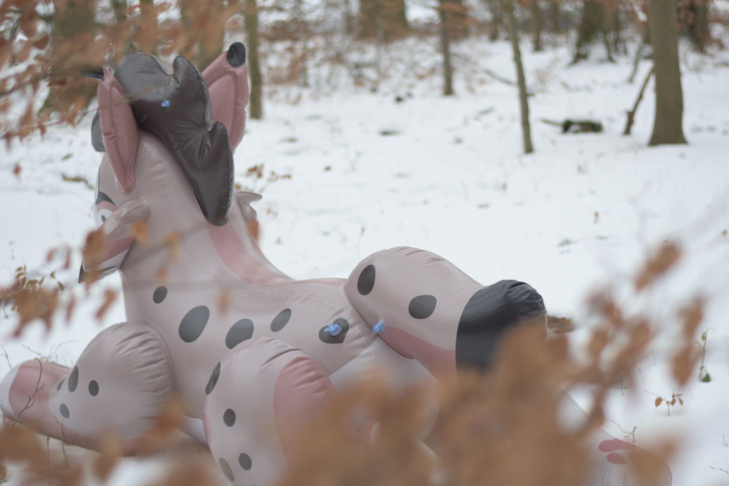 Lyra the Lynx Pre-Order