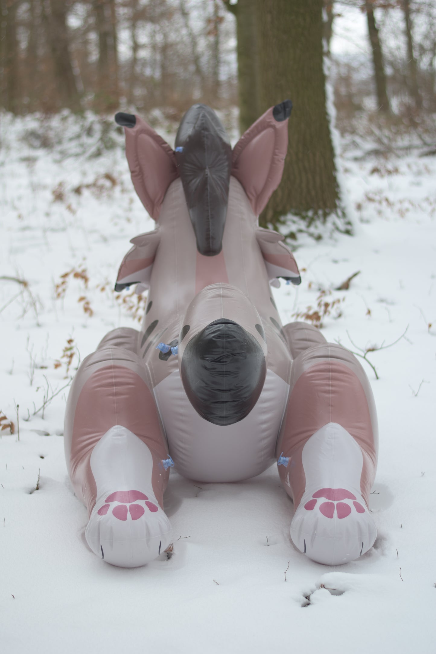 Lyra the Lynx Pre-Order