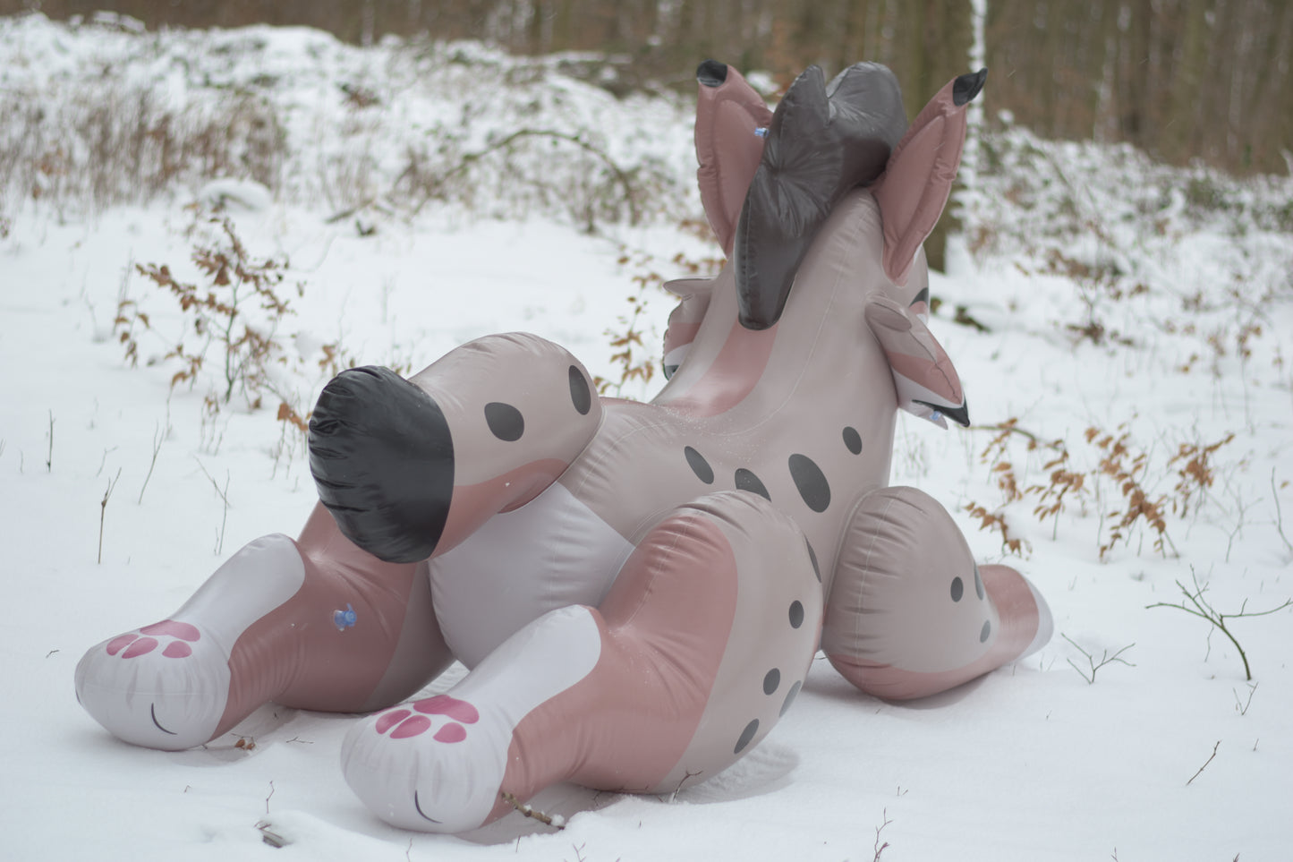 Lyra the Lynx Pre-Order