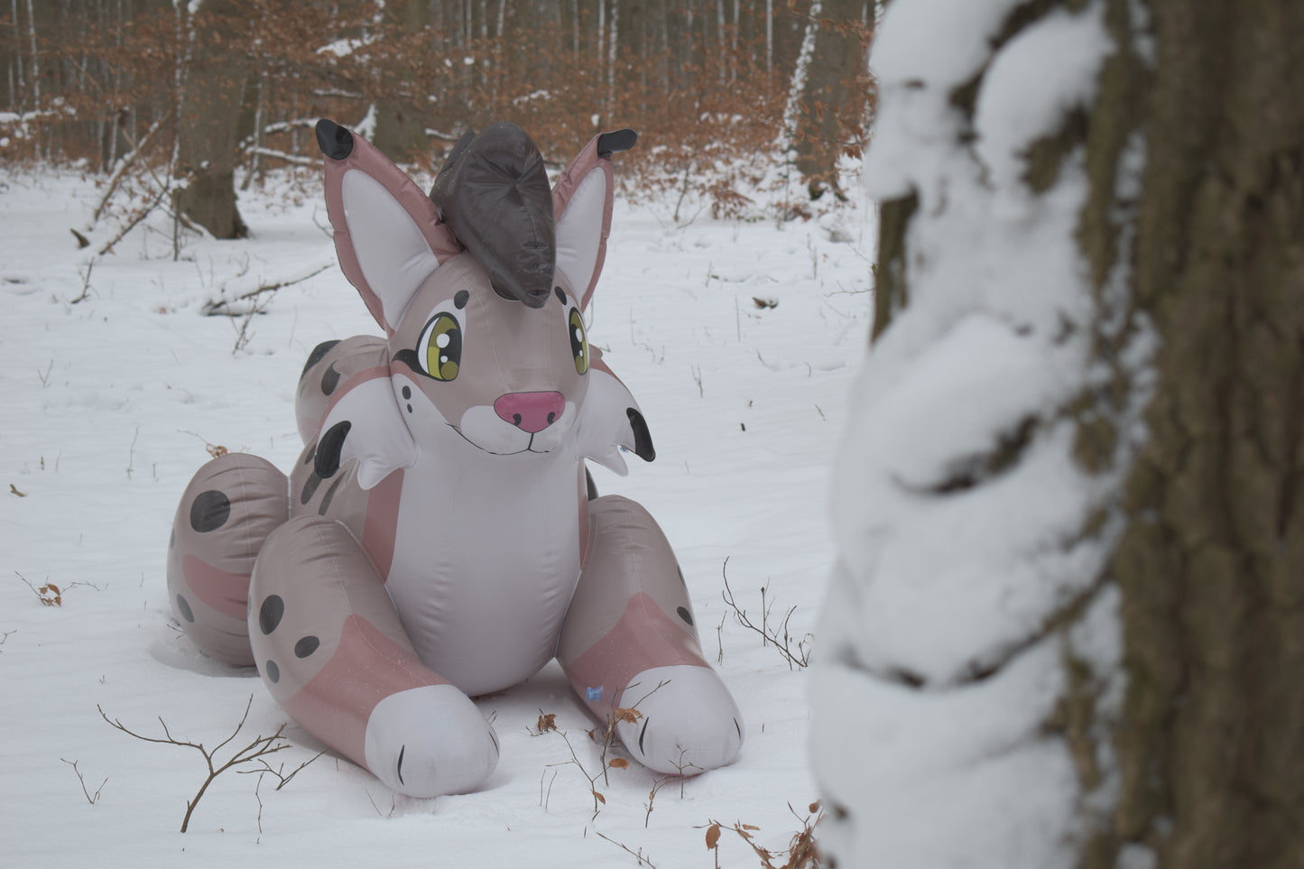 Lyra the Lynx Pre-Order