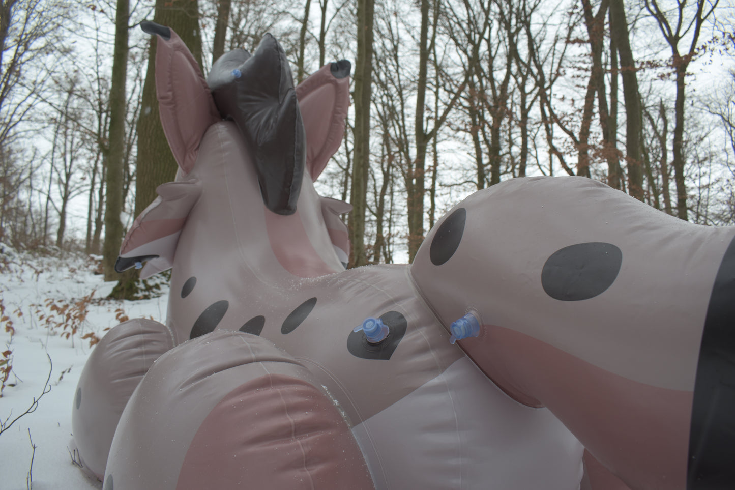 Lyra the Lynx Pre-Order